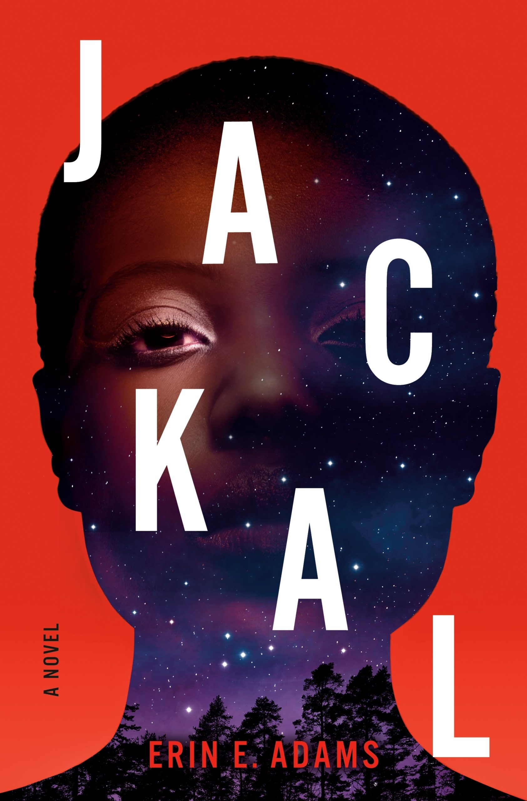 book cover for the novel JACKAL