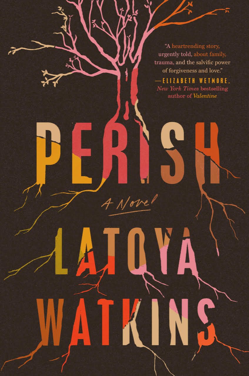 the cover of the novel perish by latoya watkins