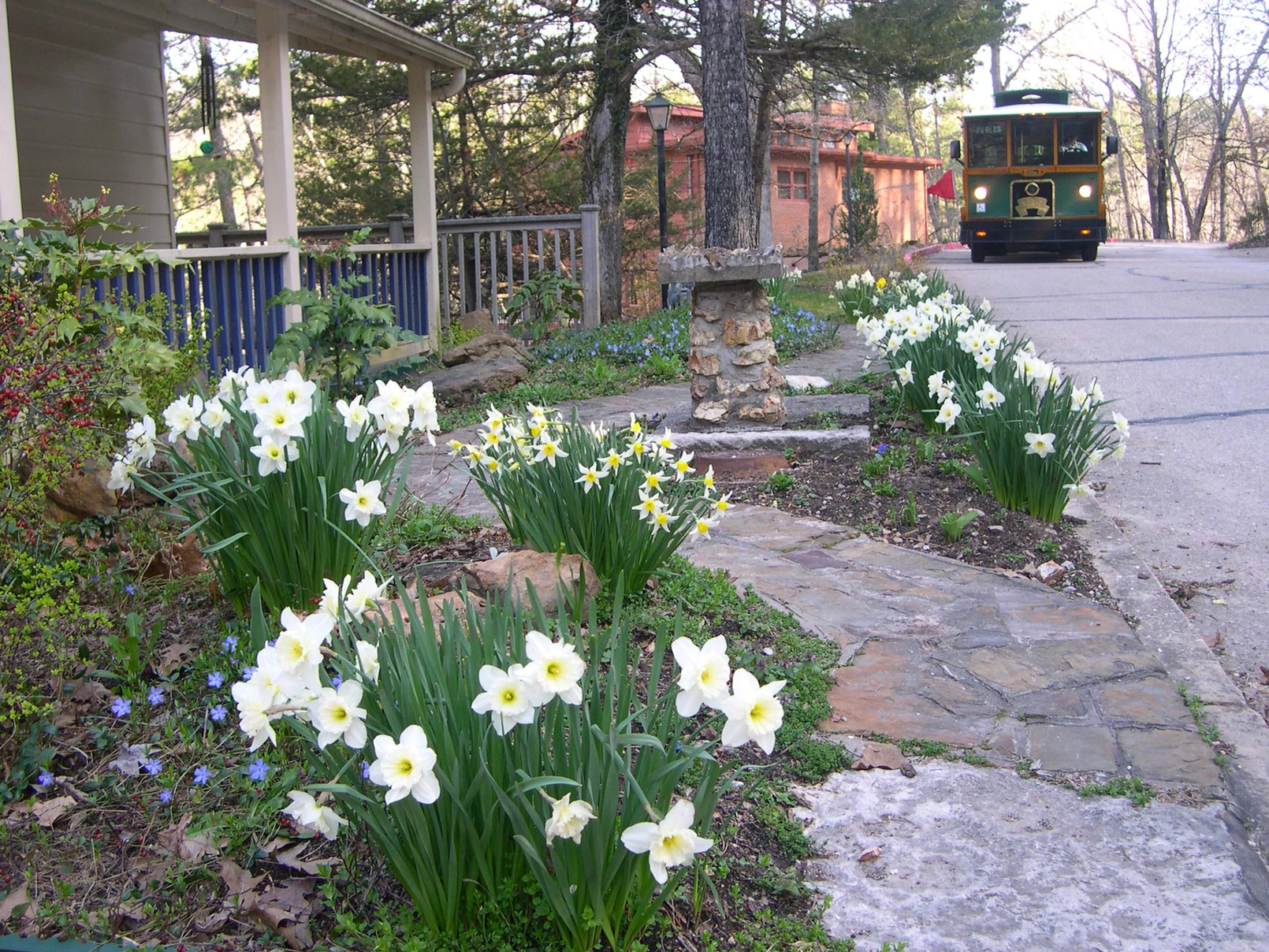 two quaint buildings on a street lined with daisies, a streetcar approaches